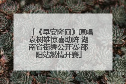《早安隆回》原唱袁树雄惊喜助阵 湖南省街舞公开赛·邵阳站燃情开赛