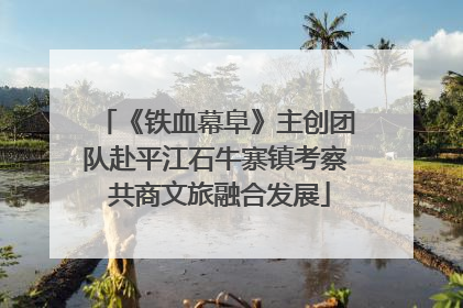 《铁血幕阜》主创团队赴平江石牛寨镇考察 共商文旅融合发展