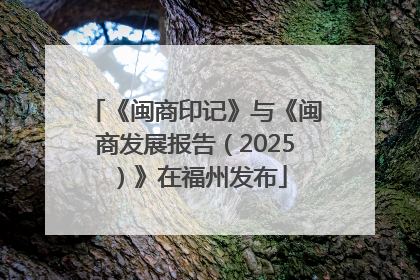 《闽商印记》与《闽商发展报告（2025）》在福州发布