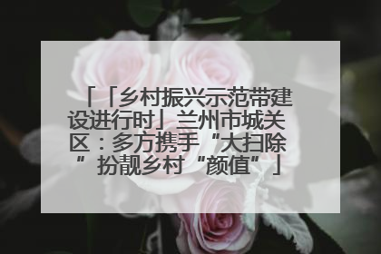 「乡村振兴示范带建设进行时」兰州市城关区：多方携手“大扫除”扮靓乡村“颜值”