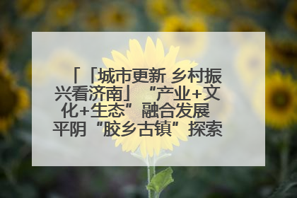「城市更新 乡村振兴看济南」“产业+文化+生态”融合发展 平阴“胶乡古镇”探索振兴路径成效显著