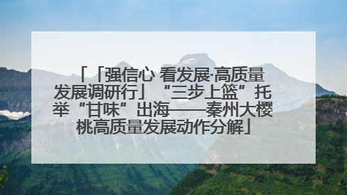 「强信心 看发展·高质量发展调研行」“三步上篮”托举“甘味”出海——秦州大樱桃高质量发展动作分解