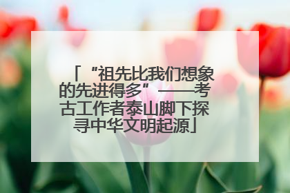 “祖先比我们想象的先进得多”——考古工作者泰山脚下探寻中华文明起源
