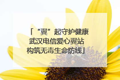 “翼”起守护健康 武汉电信爱心翼站构筑无毒生命防线