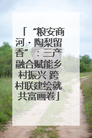“粮安商河・陶梨留香”：三产融合赋能乡村振兴 跨村联建绘就共富画卷