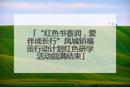 “红色书香润，爱伴成长行”凤城镇福蕾行动计划红色研学活动圆满结束