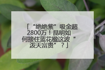 “绝绝紫”吸金超2800万！昆明如何接住蓝花楹这波“泼天富贵”？