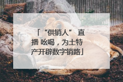 “供销人” 直播 吆喝，为土特产开辟数字销路