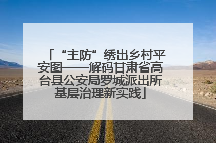“主防”绣出乡村平安图——解码甘肃省高台县公安局罗城派出所基层治理新实践