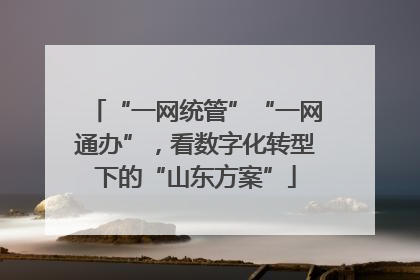“一网统管”“一网通办”，看数字化转型下的“山东方案”
