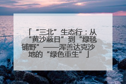 “三北”生态行：从“黄沙蔽日”到“绿毯铺野”——浑善达克沙地的“绿色重生”