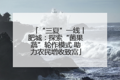 “三夏”一线丨肥城：探索“菌果蔬”轮作模式 助力农民增收致富