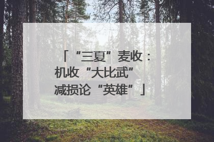 “三夏”麦收：机收“大比武” 减损论“英雄”