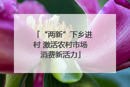 “两新”下乡进村 激活农村市场消费新活力
