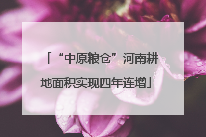 “中原粮仓”河南耕地面积实现四年连增