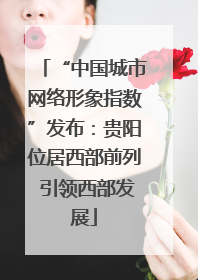 “中国城市网络形象指数”发布：贵阳位居西部前列 引领西部发展