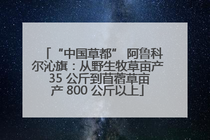 “中国草都” 阿鲁科尔沁旗：从野生牧草亩产 35 公斤到苜蓿草亩产 800 公斤以上