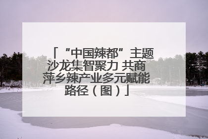 “中国辣都”主题沙龙集智聚力 共商萍乡辣产业多元赋能路径（图）
