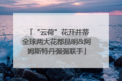 “云荷”花开并蒂 全球两大花都昆明&阿姆斯特丹强强联手