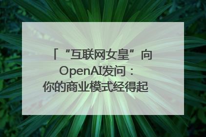 “互联网女皇”向OpenAI发问：你的商业模式经得起价格战考验么？
