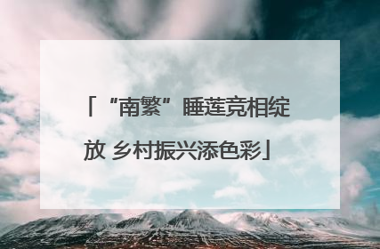 “南繁”睡莲竞相绽放 乡村振兴添色彩