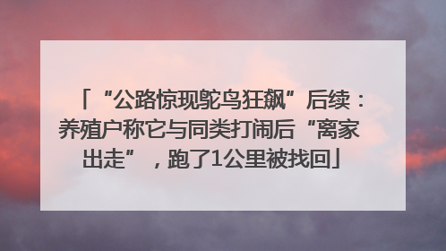 “公路惊现鸵鸟狂飙”后续：养殖户称它与同类打闹后“离家出走”，跑了1公里被找回
