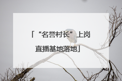 “名誉村长”上岗 直播基地落地