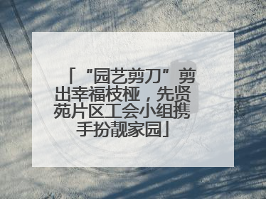 “园艺剪刀”剪出幸福枝桠，先贤苑片区工会小组携手扮靓家园