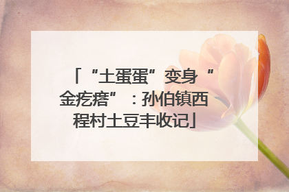“土蛋蛋”变身“金疙瘩”：孙伯镇西程村土豆丰收记