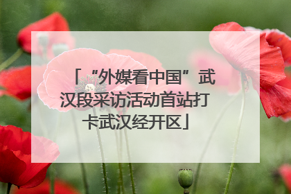 “外媒看中国”武汉段采访活动首站打卡武汉经开区