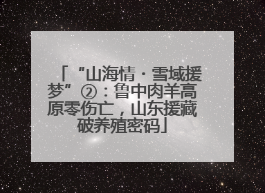“山海情・雪域援梦”②：鲁中肉羊高原零伤亡，山东援藏破养殖密码