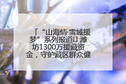 “山海情·雪域援梦”系列报道⑪ 潍坊1300万援藏资金，守护藏区群众健康“最后一公里”