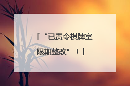 “已责令棋牌室限期整改”！