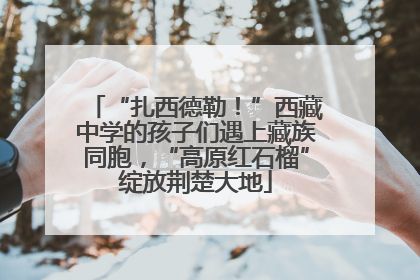 “扎西德勒！”西藏中学的孩子们遇上藏族同胞，“高原红石榴”绽放荆楚大地