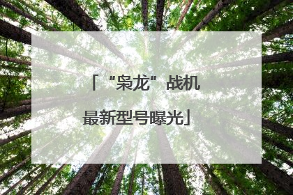 “枭龙”战机最新型号曝光