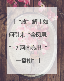 “政”解丨如何引来“金凤凰”？河南亮出“一盘棋”