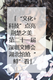 “文化+科技”点亮荆楚之美 第二十一届深圳文博会湖北馆抢“鲜”看