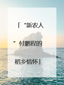“新农人”付鹏程的稻乡情怀