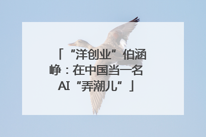 “洋创业”伯涵峥：在中国当一名AI“弄潮儿”