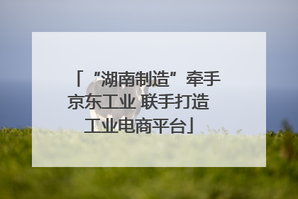 “湖南制造”牵手京东工业 联手打造工业电商平台
