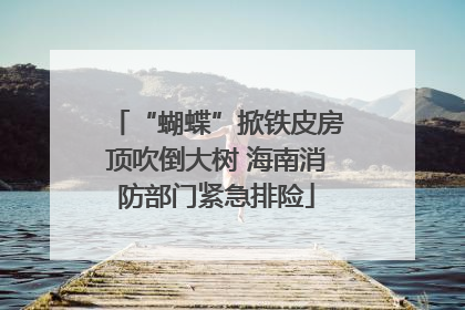 “蝴蝶”掀铁皮房顶吹倒大树 海南消防部门紧急排险