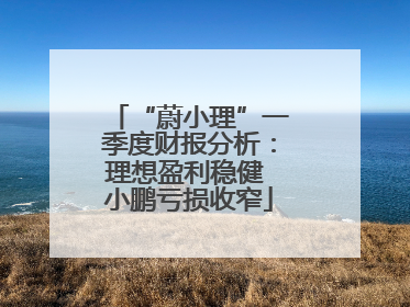 “蔚小理”一季度财报分析：理想盈利稳健 小鹏亏损收窄
