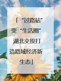 “过路站”变“生活圈” 湖北交投打造路域经济新生态