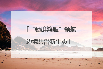 “领群鸿雁”领航边境共治新生态