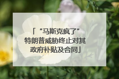 “马斯克疯了” 特朗普威胁终止对其政府补贴及合同