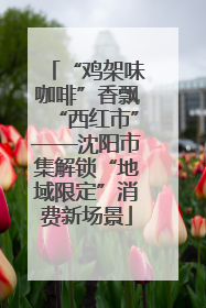 “鸡架味咖啡”香飘“西红市”——沈阳市集解锁“地域限定”消费新场景