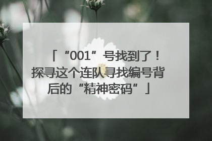 “001”号找到了！探寻这个连队寻找编号背后的“精神密码”
