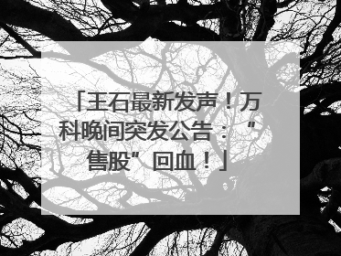 王石最新发声！万科晚间突发公告：“售股”回血！