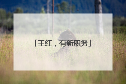 王红，有新职务