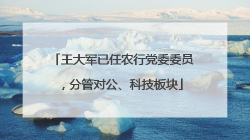 王大军已任农行党委委员，分管对公、科技板块